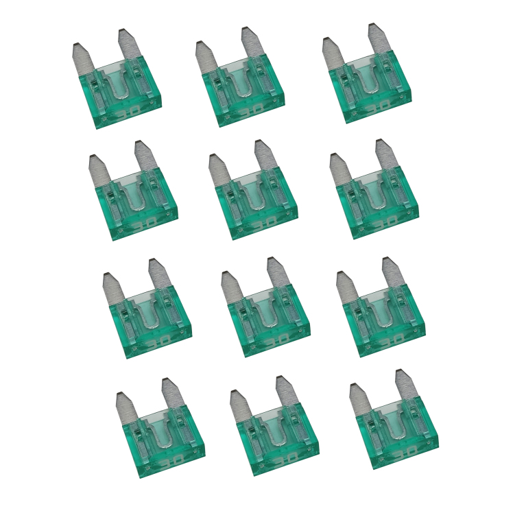 فیوز دو شاخ ریز 30 آمپر FLOSSER